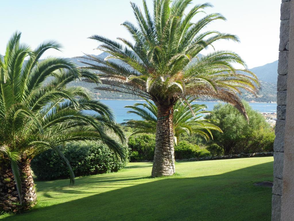 Apartamento Marina Di Fiori Propriano  Exterior foto